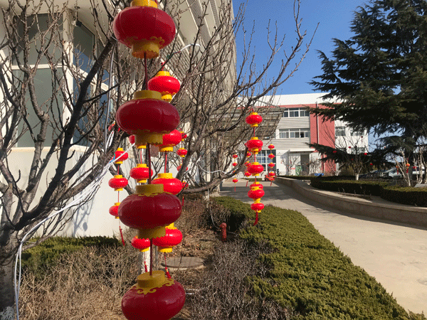 煙臺丹頓玻璃膜祝大家開工大吉！
